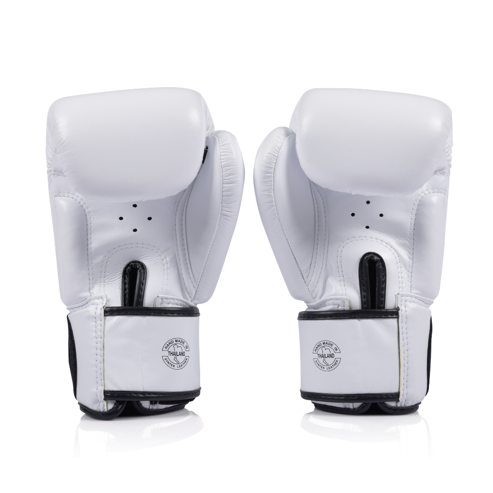 Fairtex Universal Gloves BGV1C-PLUS