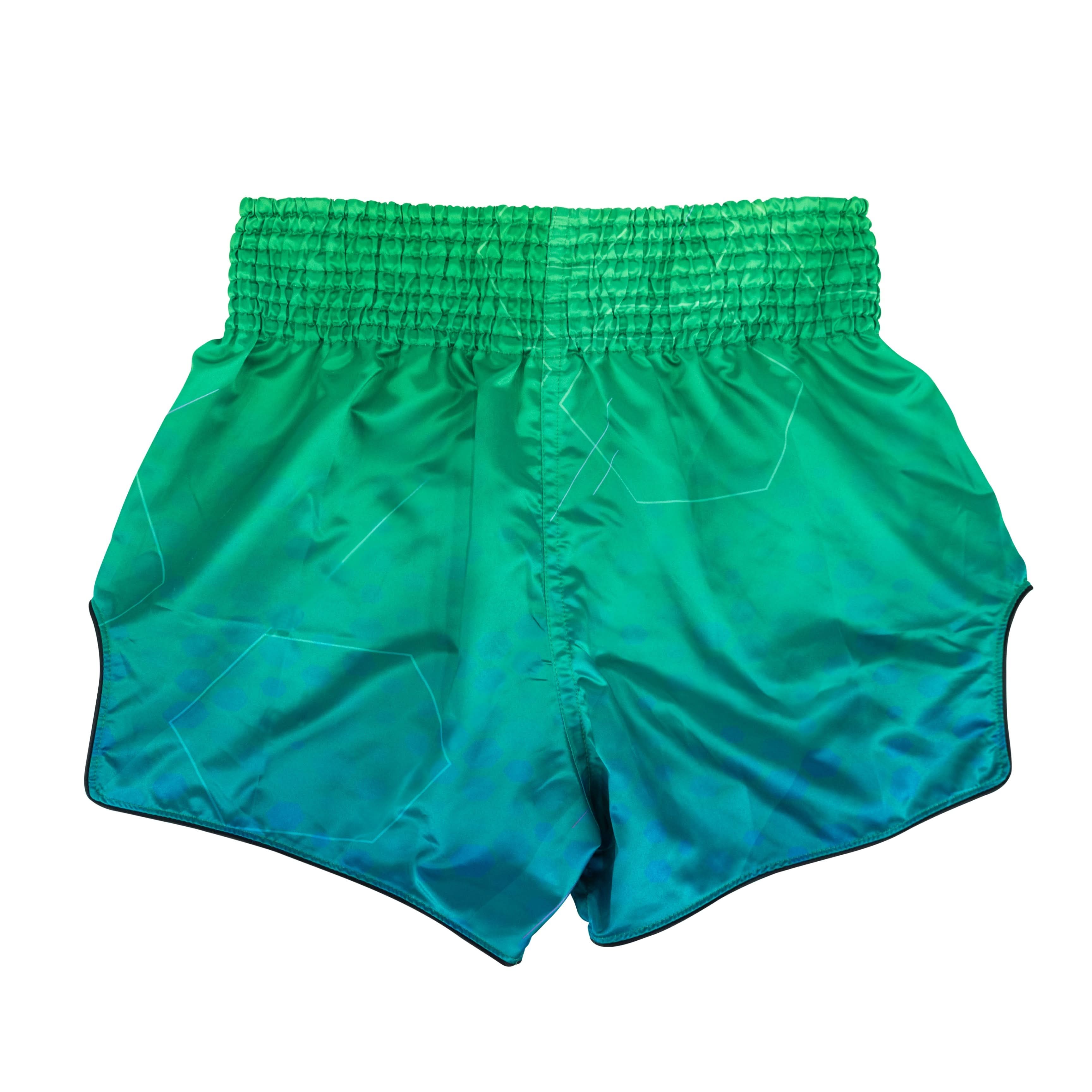 Fairtex Muay Thai Shorts Quantum BS1953
