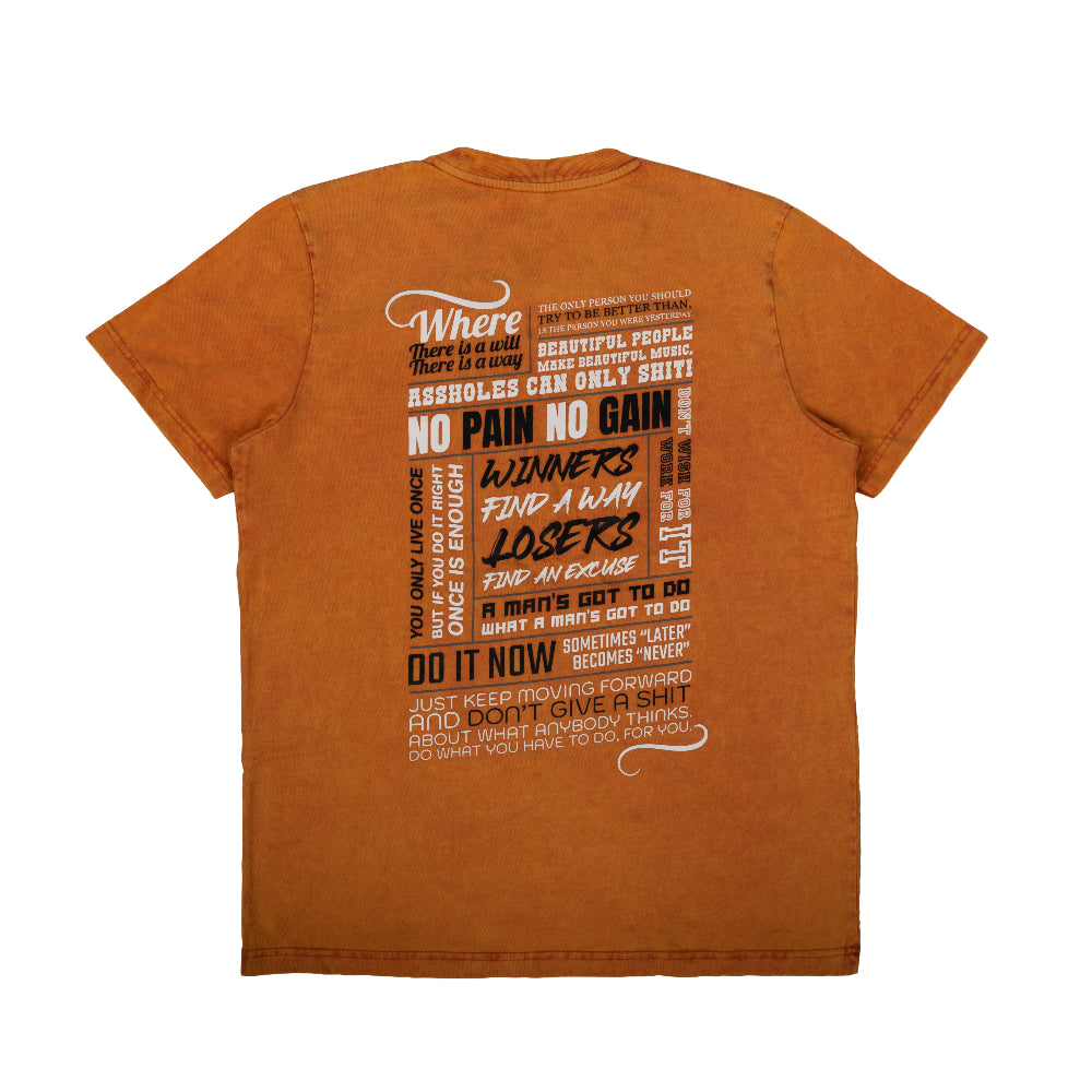Fairtex No Pain No Gain T-Shirt - TST365