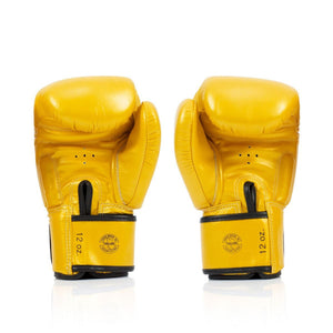 Fairtex Deluxe Tight-Fit Boxing Gloves BGV19