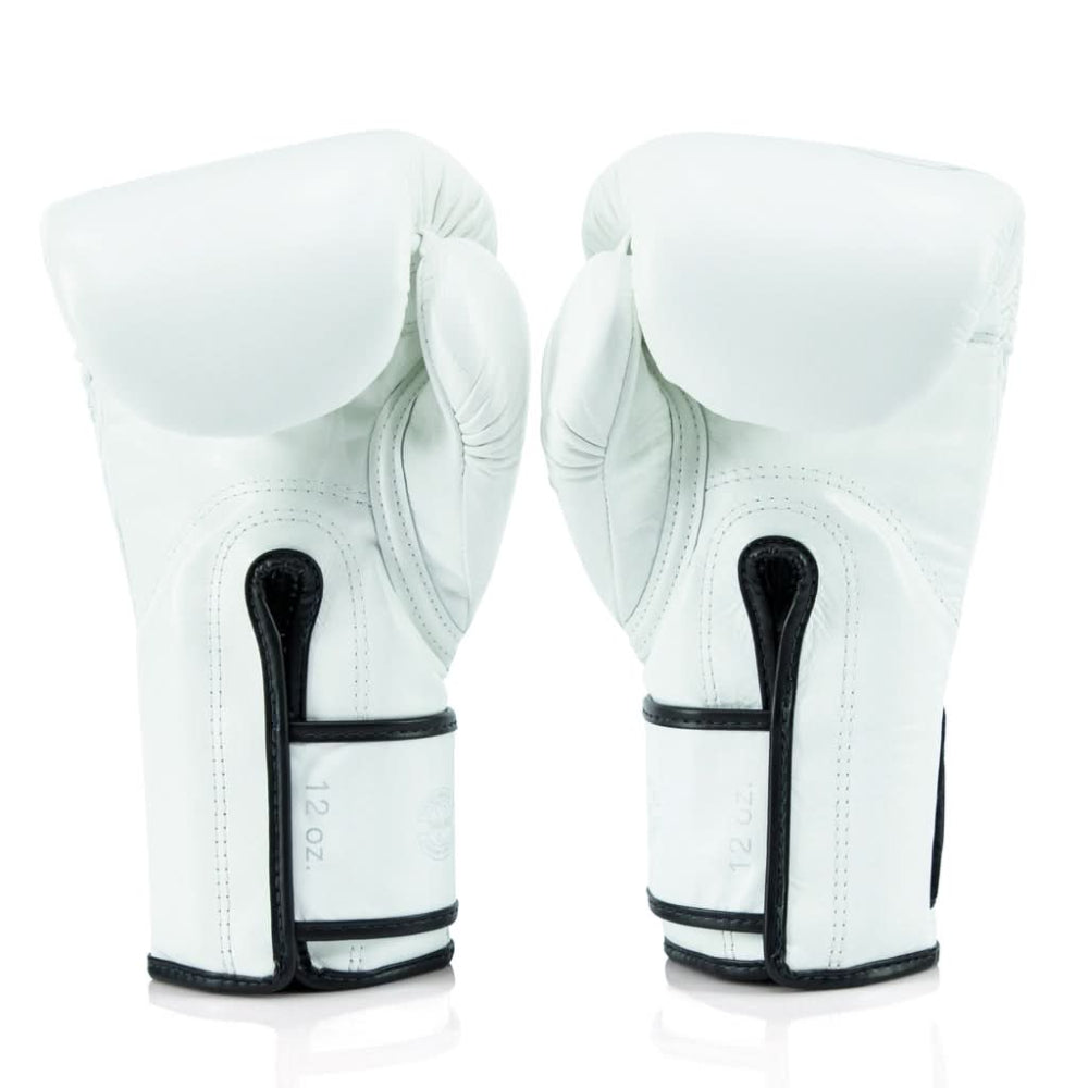 Fairtex x Glory Kickboxing Gloves BGVG3