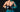 Fairtex Avis
