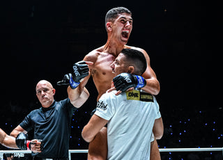 Be Inspired: Elies Abdelali