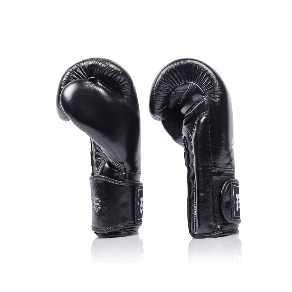 Fairtex Titan Boxing Gloves BGV-XL