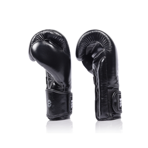 Fairtex Titan Boxing Gloves BGV-XL