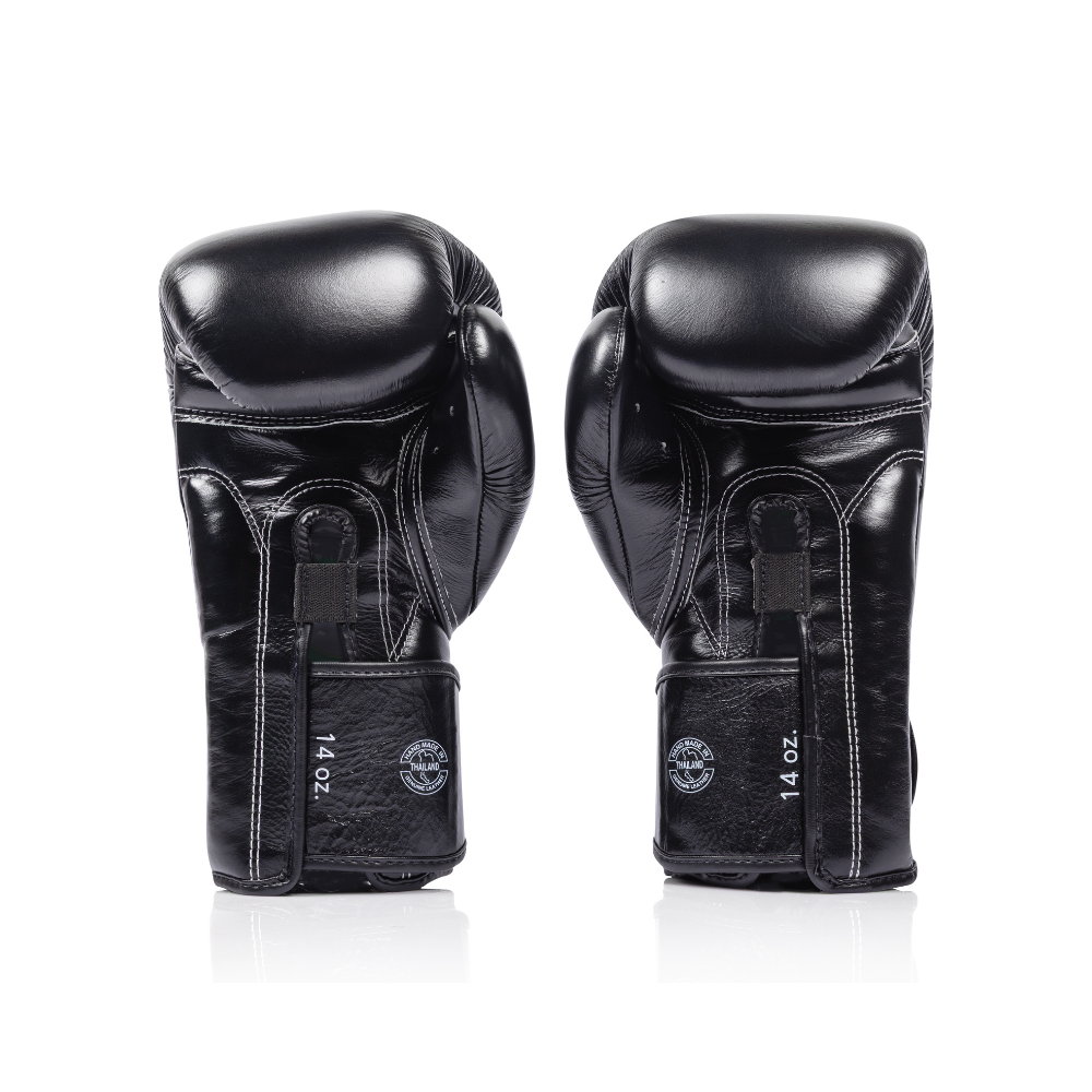 Fairtex Titan Boxing Gloves BGV-XL