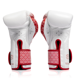 Fairtex x RWS Boxing Gloves BGVR1