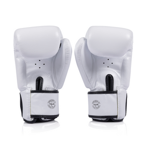 Fairtex Universal Gloves BGV1C-PLUS