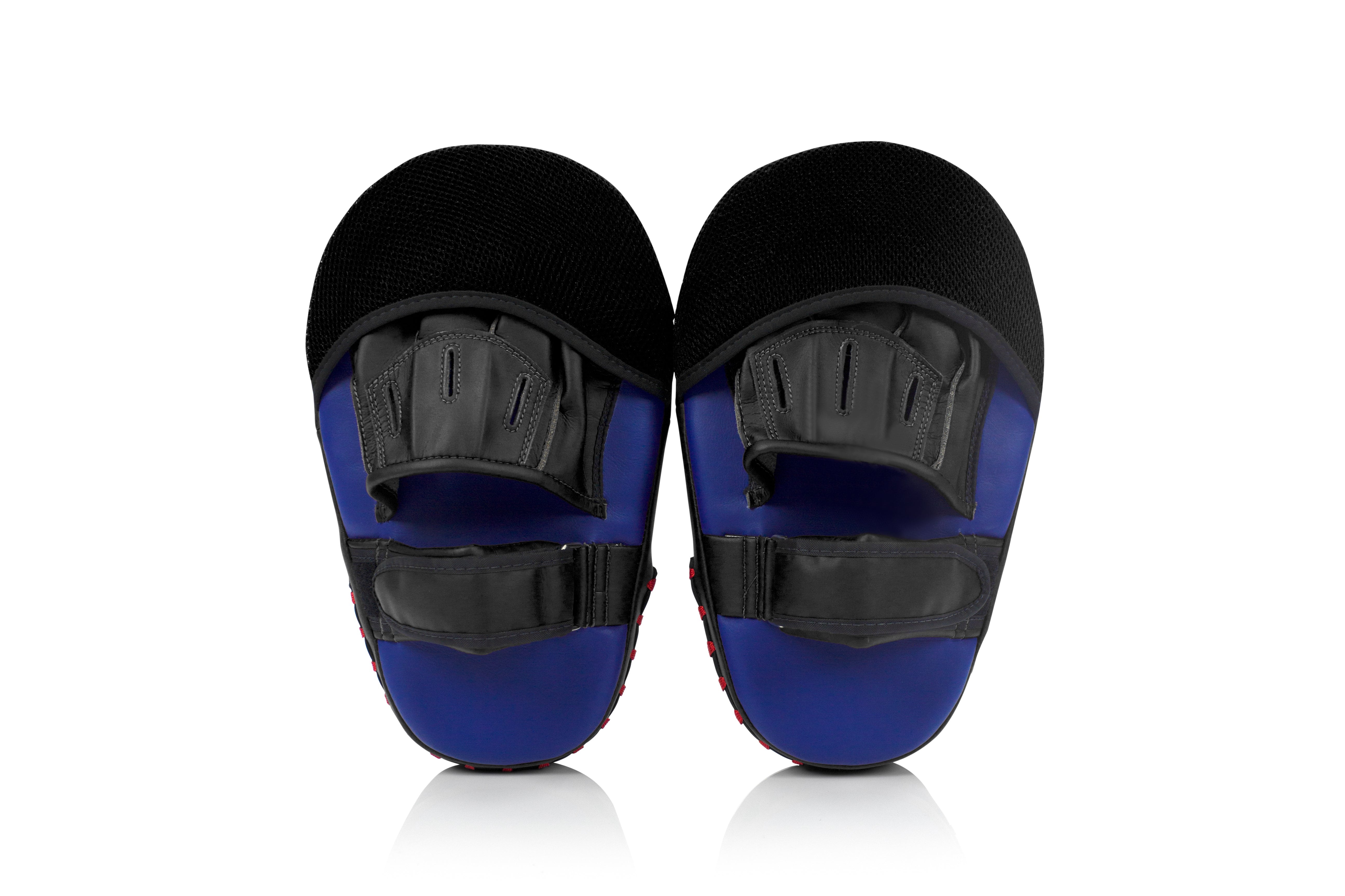 Fairtex Angular Focus Mitts FMV12