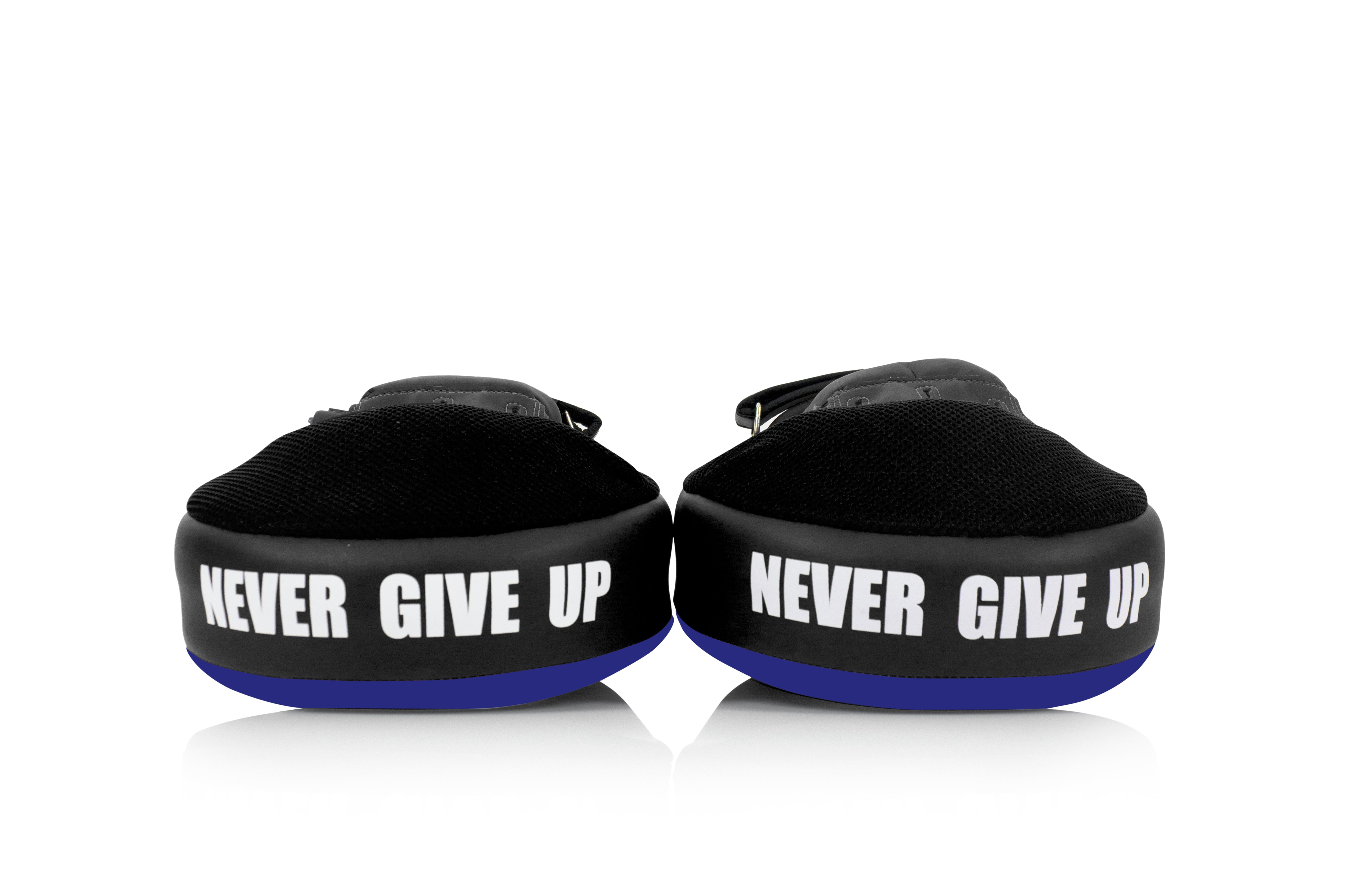 Fairtex Angular Focus Mitts FMV12