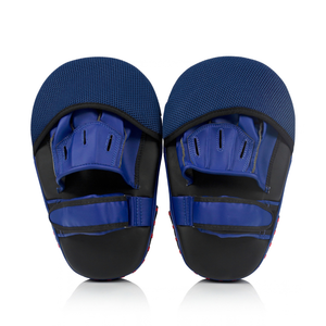Fairtex Angular Focus Mitts FMV12