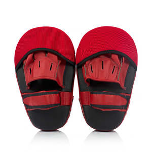 Fairtex Angular Focus Mitts FMV12