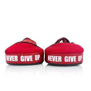 Fairtex Angular Focus Mitts FMV12
