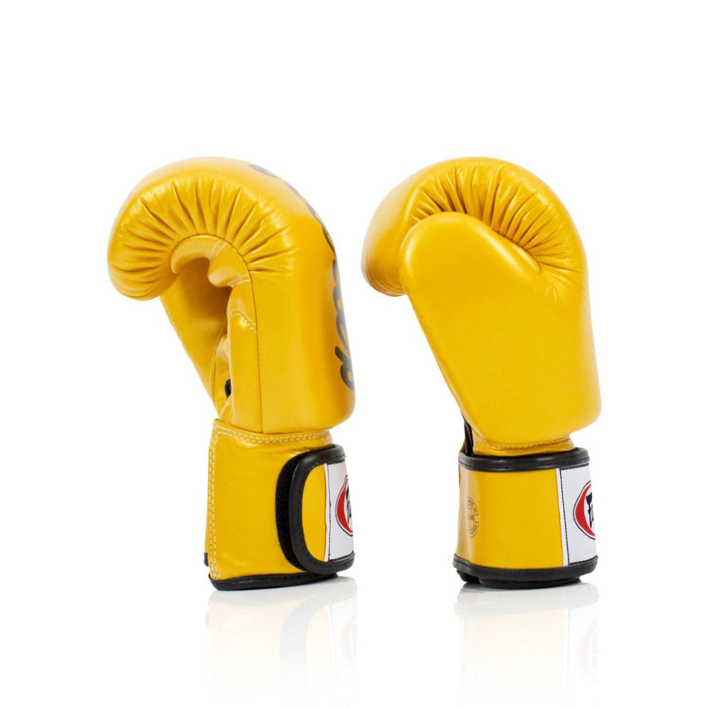 Fairtex Deluxe Tight-Fit Boxing Gloves BGV19