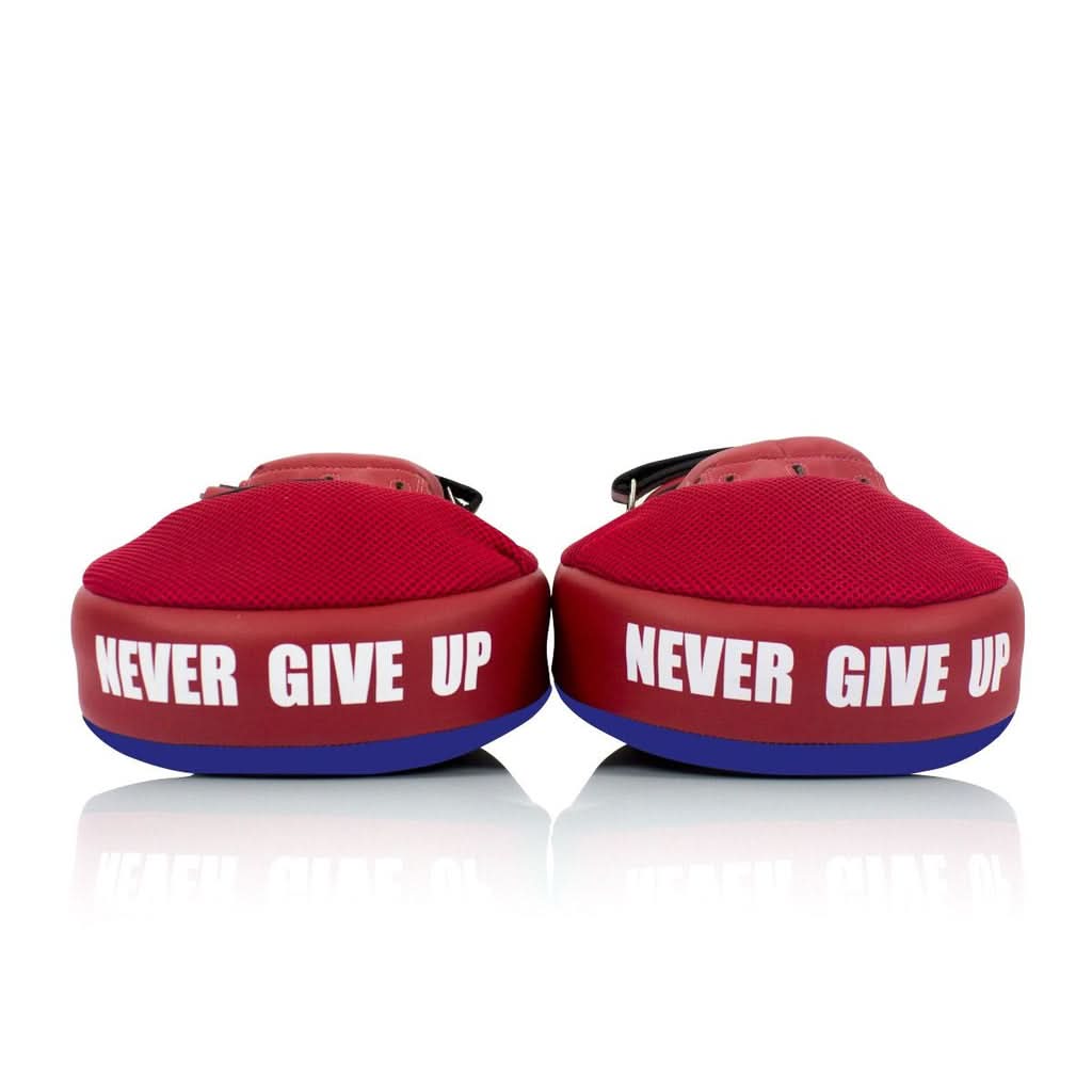 Fairtex Angular Focus Mitts FMV12