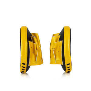Fairtex Focus Mitts FMV15