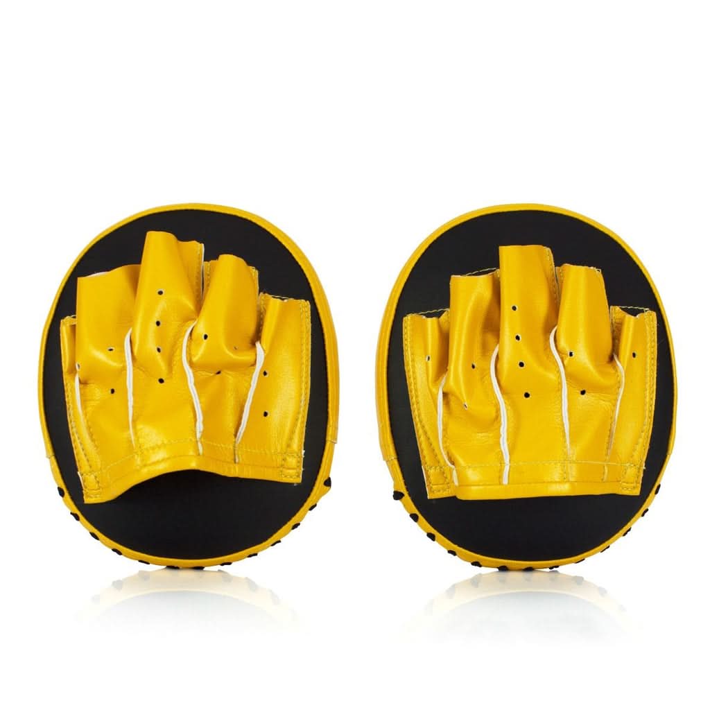 Fairtex Focus Mitts FMV15